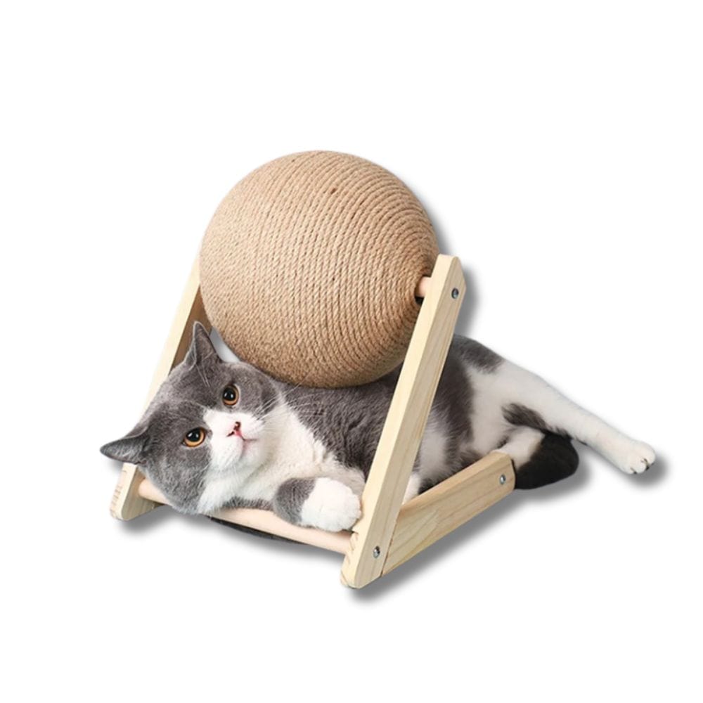 Balle à gratter pour chats | En corde