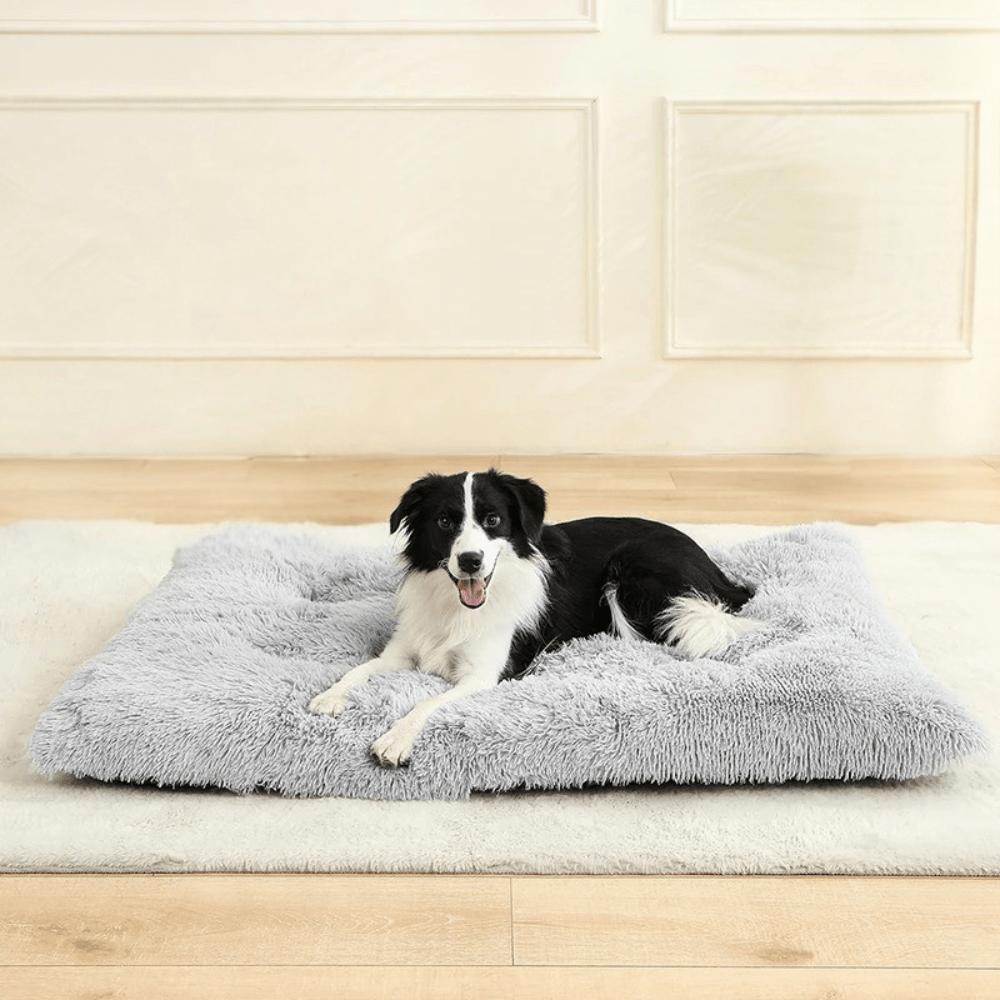 Panier pour chiens | Moelleux
