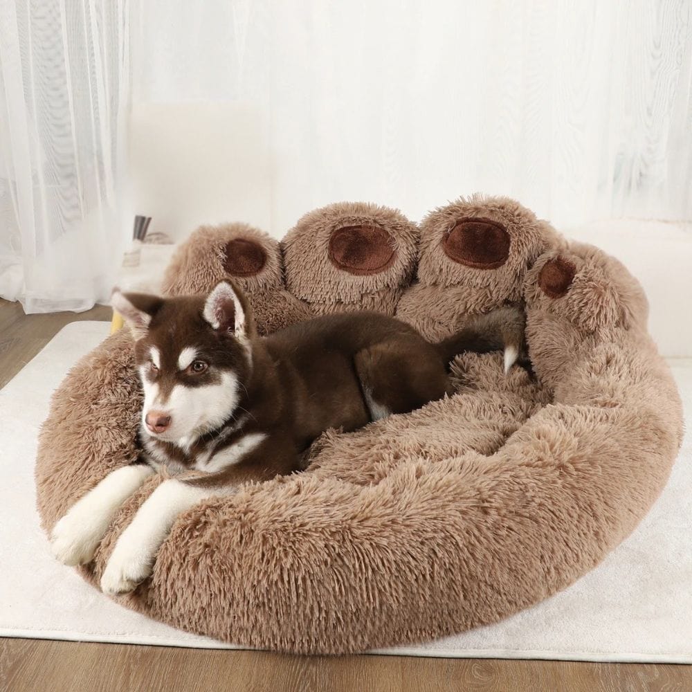 Paniers confortable pour chiens | Marron