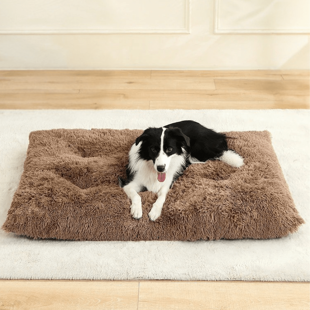 Paniers pour chiens | Moelleux