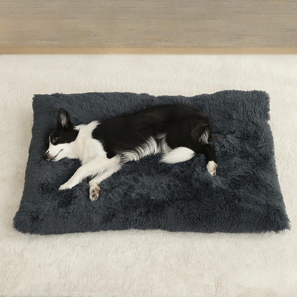 Paniers pour chiens | Moelleux