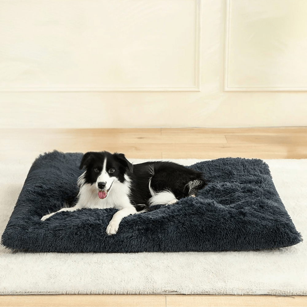 Paniers pour chiens | Moelleux