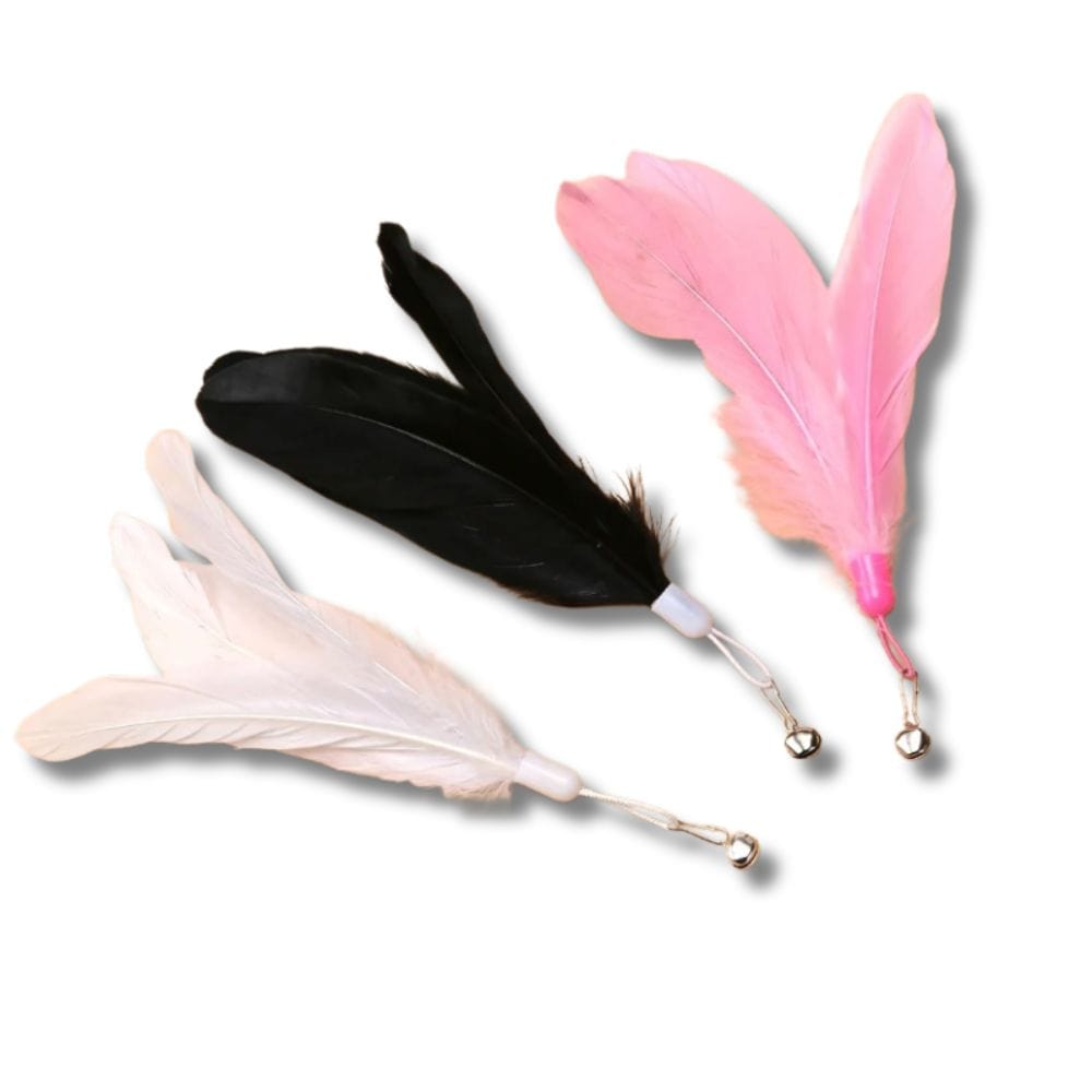 Jouet pour chats seul à ventouse | Multicolores Plumes (Couleurs aléatoire)